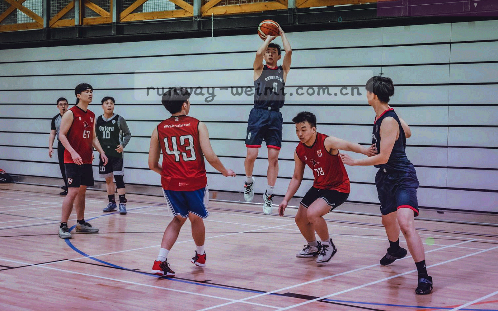 内容目录第 3 版总览界面，四个板块与等宽栏目编号并列显示